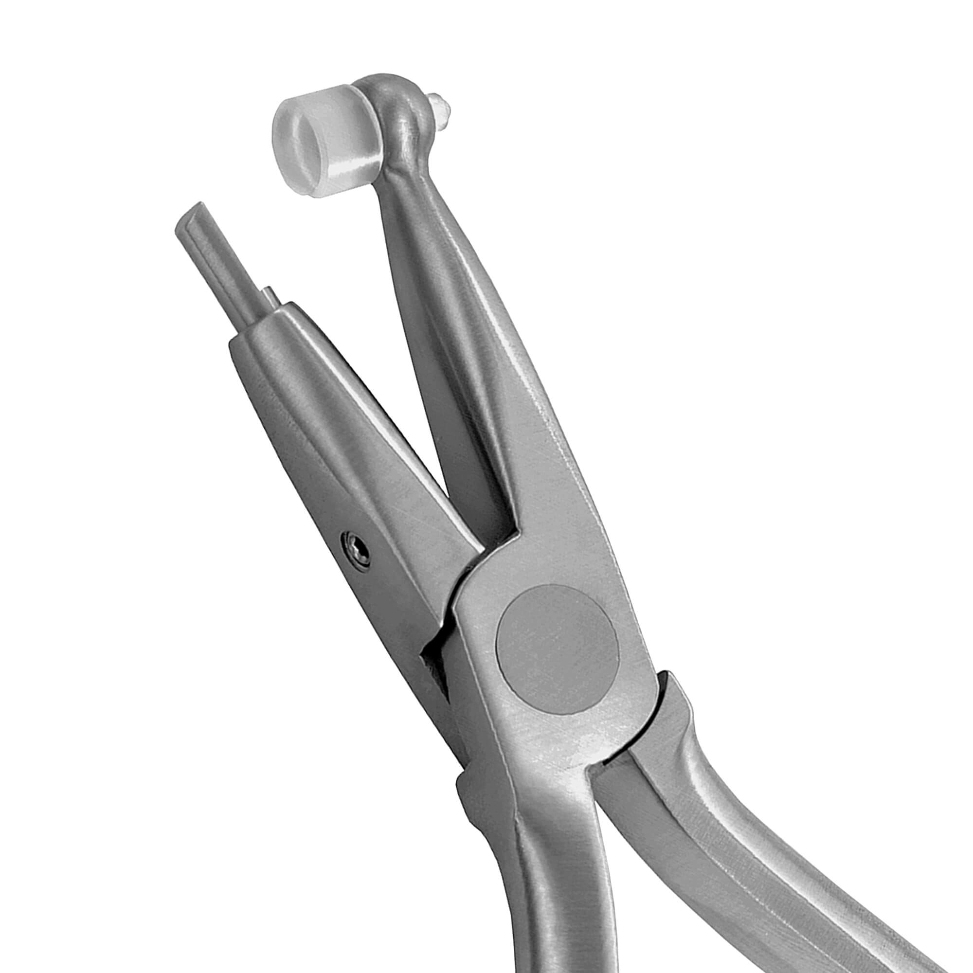 ENDODONCIA